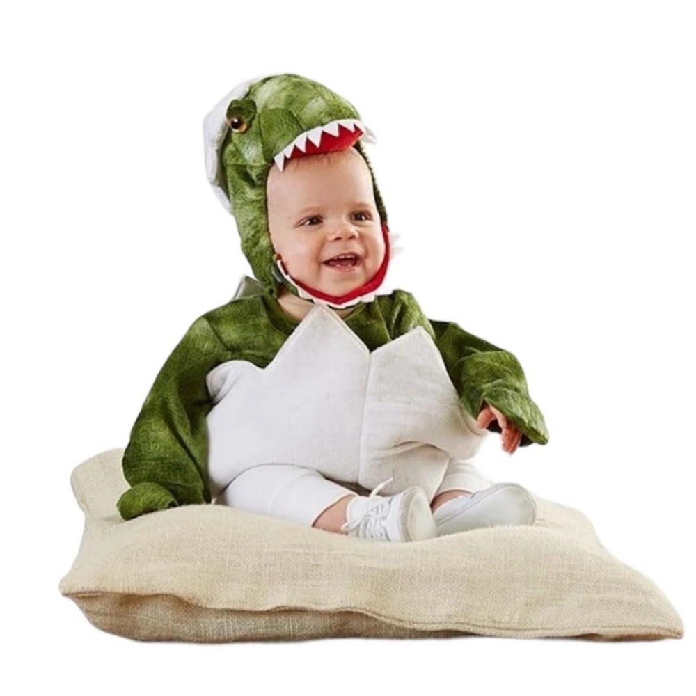Pottery Barn Kids Baby Dinosaur Egg Costume 6-12 Mo